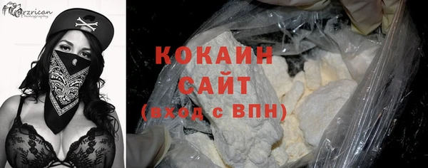 мдпв Пересвет