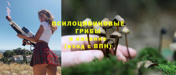 шишки Переславль-Залесский