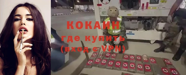 шишки Переславль-Залесский