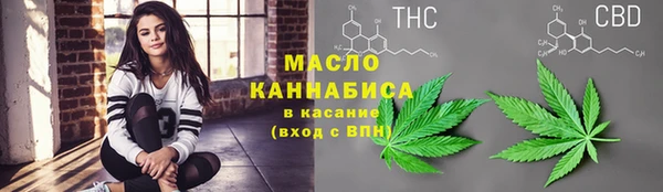 мдпв Пересвет