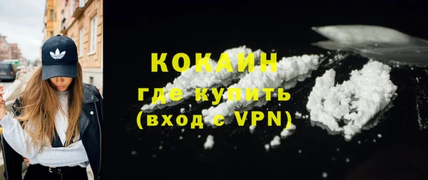 шишки Переславль-Залесский