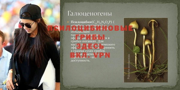 мдпв Пересвет