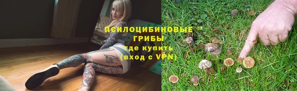 ГАЛЛЮЦИНОГЕННЫЕ ГРИБЫ Пестово