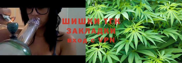 мдпв Пересвет