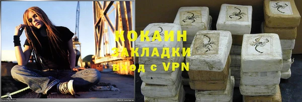 шишки Переславль-Залесский